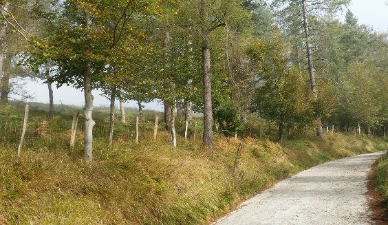 pagolako-ubidea-03 pagolako-ubidea-03