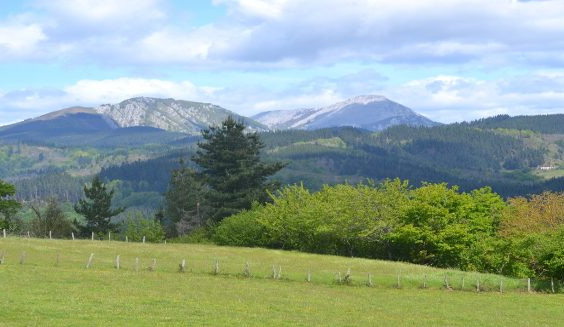 arlaban-leintz-gatzaga-01 arlaban-leintz-gatzaga-01
