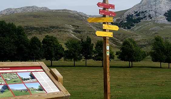 urbiako-senda-01 urbiako-senda-01