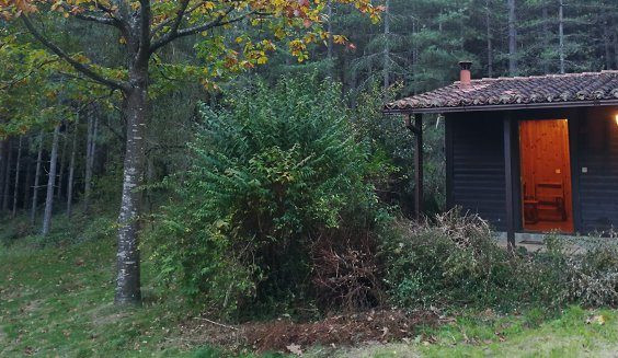 gazta4-707x327 gazta4-707x327