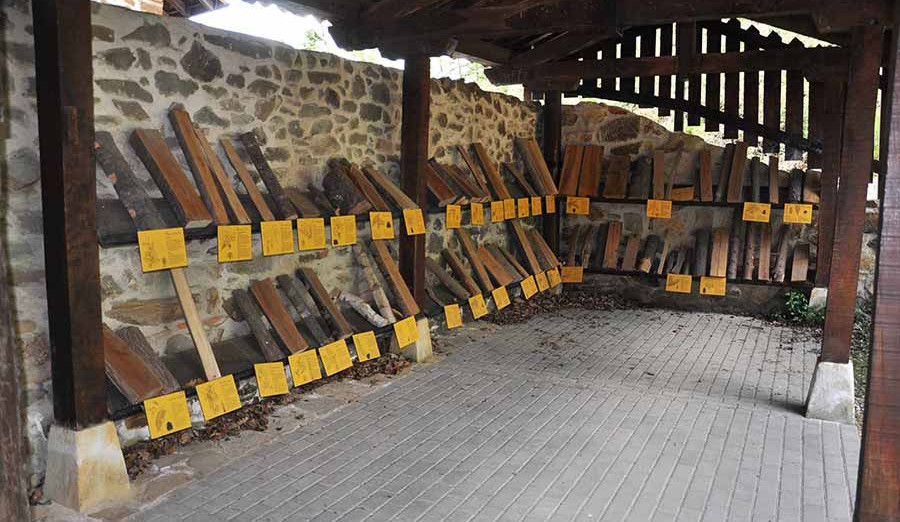 sal-de-leniz3-1 sal-de-leniz3-1