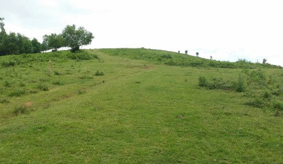 kurutzetxikiko-bira-02 kurutzetxikiko-bira-02