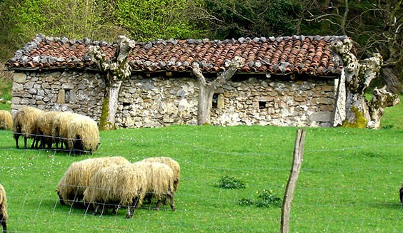 ezkutuko-bidea-02 ezkutuko-bidea-02