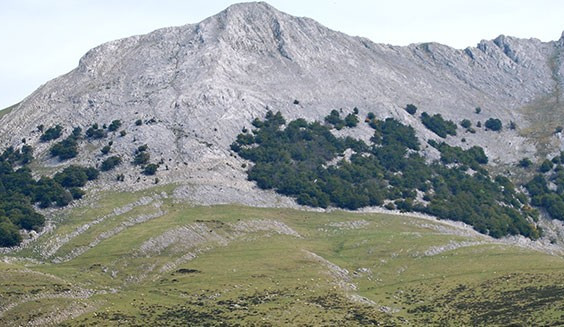 urbiako-senda-03 urbiako-senda-03