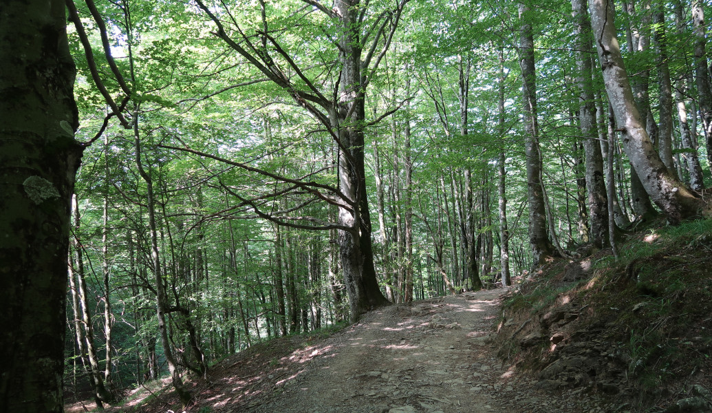 urbiako-senda-02