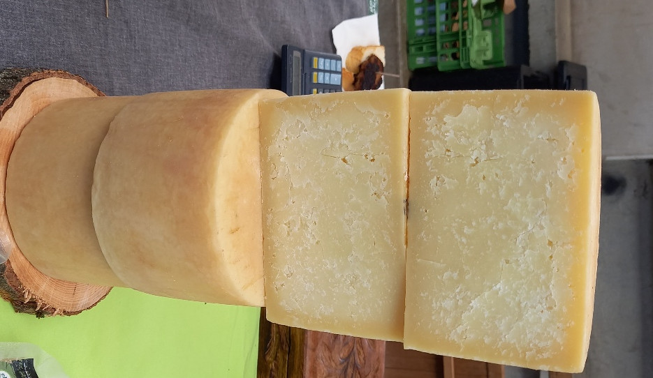 Gazta_zutabea Gazta_zutabea