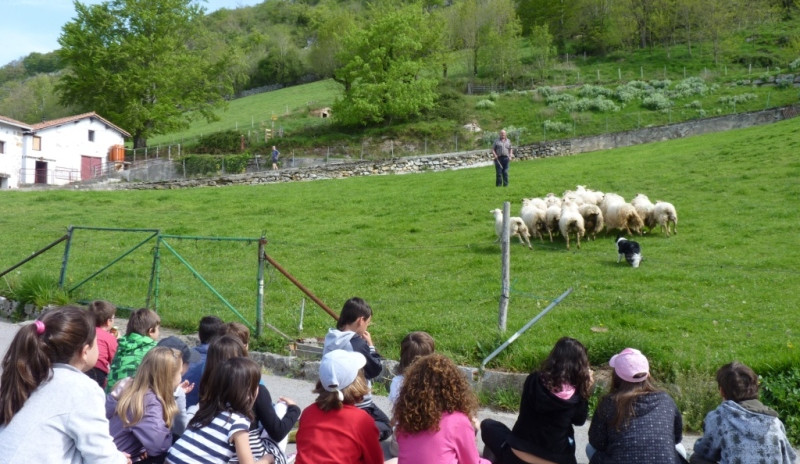 gomiztegiajendearekin gomiztegiajendearekin