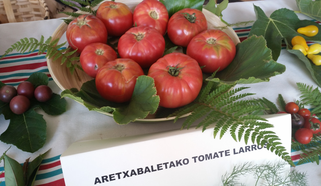 20160924_115335 20160924_115335