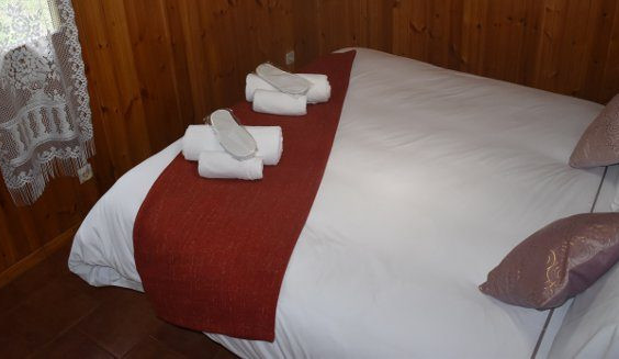 gazta1-707x327 gazta1-707x327