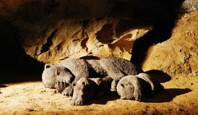 imagen_exp imagen_exp