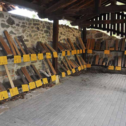 sal-de-leniz3-1 sal-de-leniz3-1