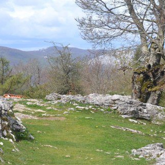 artzaintza-naturbidea-01 artzaintza-naturbidea-01