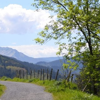 bergara-antzuola-03 bergara-antzuola-03