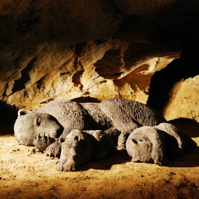 imagen_exp imagen_exp